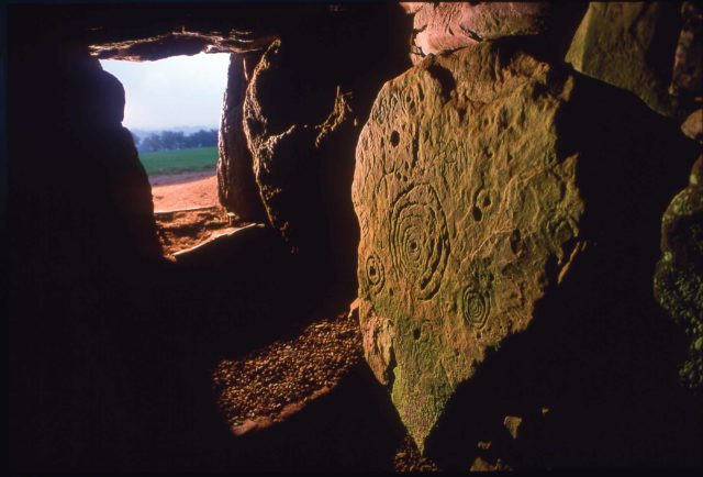 Ireland's Most Ancient Landscape: A Private Day Tour to Newgrange and Tara from Dublin